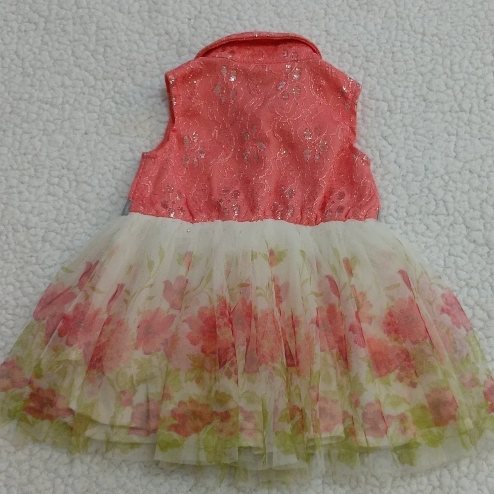 Little Lass Party Dress Size 12 Months